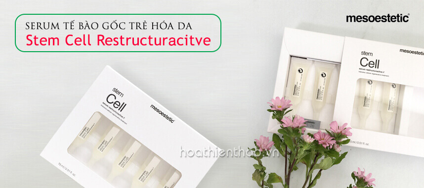 Tế bào gốc là gì - HoaThienThao