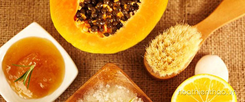 Thời tiết mùa hè nên đắp mặt nạ gì thì tốt - Hoa Thiên Thảo
