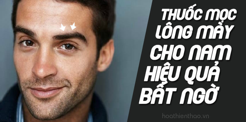 Thuốc mọc lông mày cho nam hiệu quả bất ngờ - HoaThienThao
