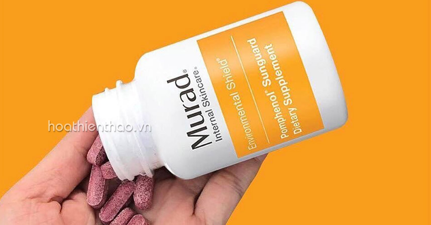 Top 5 kem chống nắng tốt nhất hiện nay - Hoa Thiên Thảo