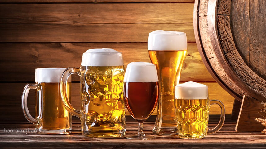 Top sản phẩm kích thích mọc tóc - HoaThienThao