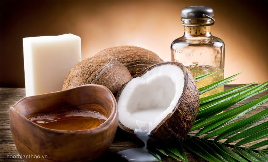 Top sản phẩm kích thích mọc tóc - HoaThienThao