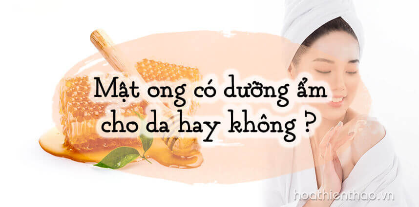 Tốt cho làn da là vậy nhưng thật sự mật ong có dưỡng ẩm cho da không?