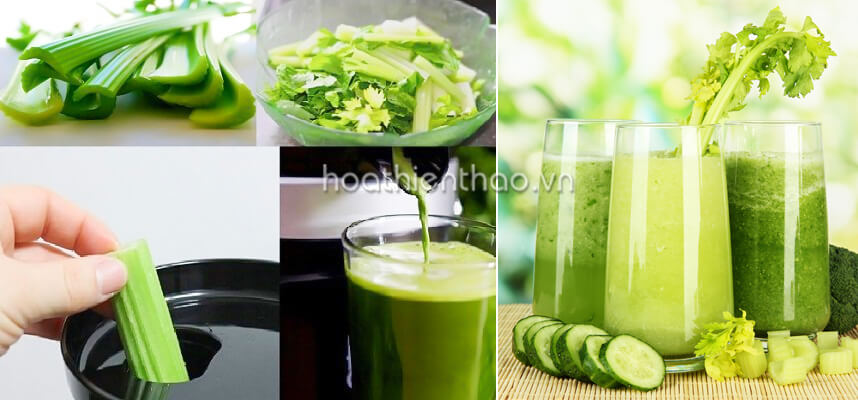 Trào lưu nước ép cần tây đẹp dáng đẹp da - HoaThienThao