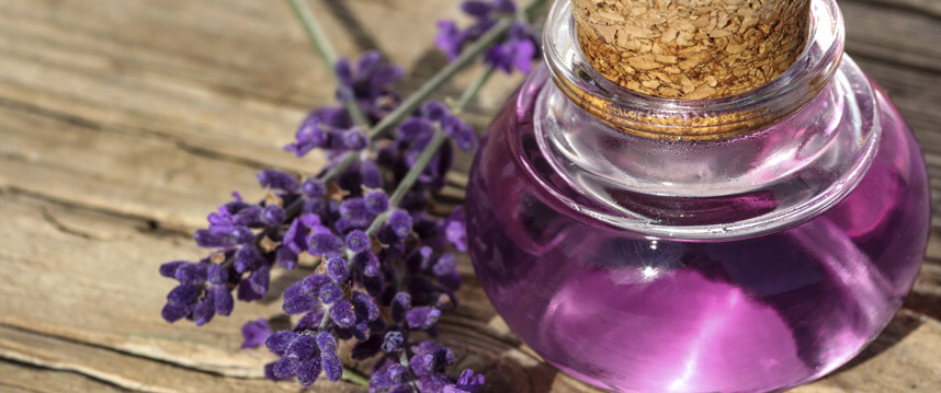 Mẹo tự trị rạn da tại nhà bằng tinh dầu hiệu quả - Hoa Thiên Thảo Cosmetics
