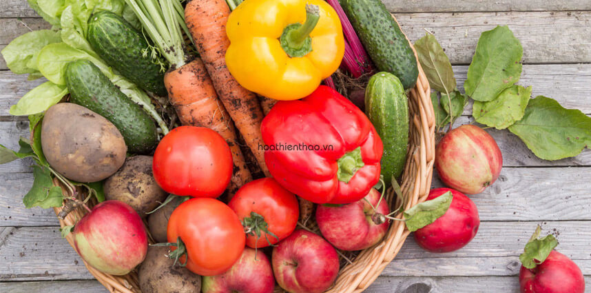 Vì sao nên dùng Bộ kem trị nám MartiDerm - HoaThienThao