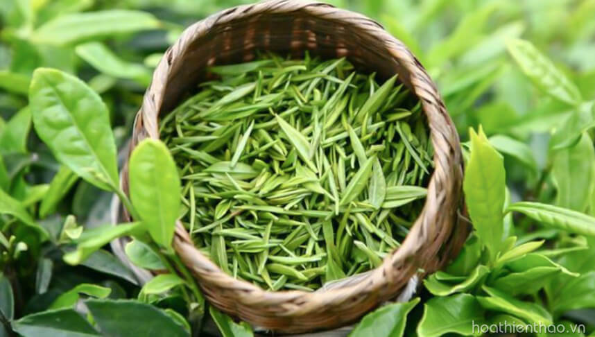 Viên uống chống nắng đi biển - HoaThienThao