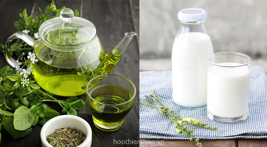 Bổ sung thực phẩm có chứa chất chống oxy hóa