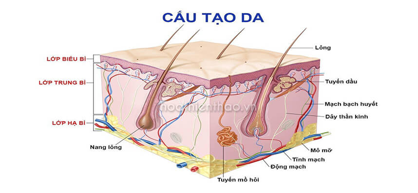 Các bước phục hồi da bị bào mòn nhanh chóng