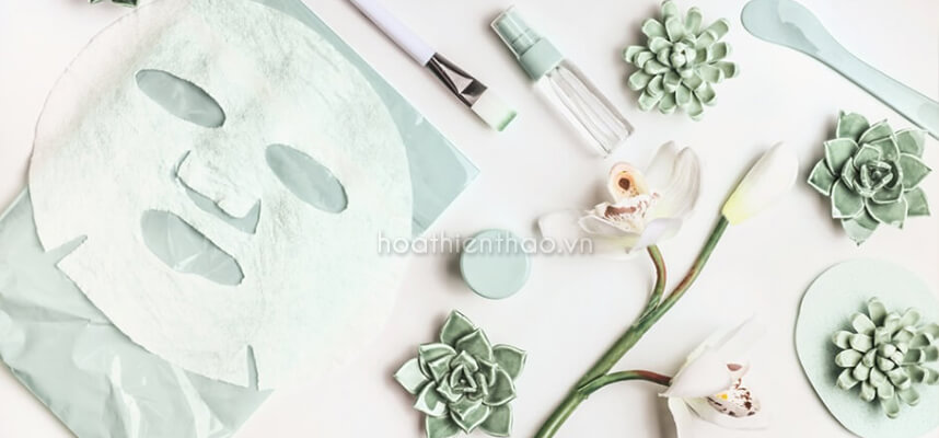 Cách bảo quản mặt nạ giấy - hoathienthao