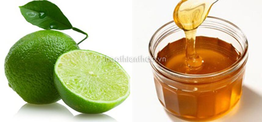 Cách làm mặt nạ sữa chua mật ong cho từng loại da - HoaThienThao
