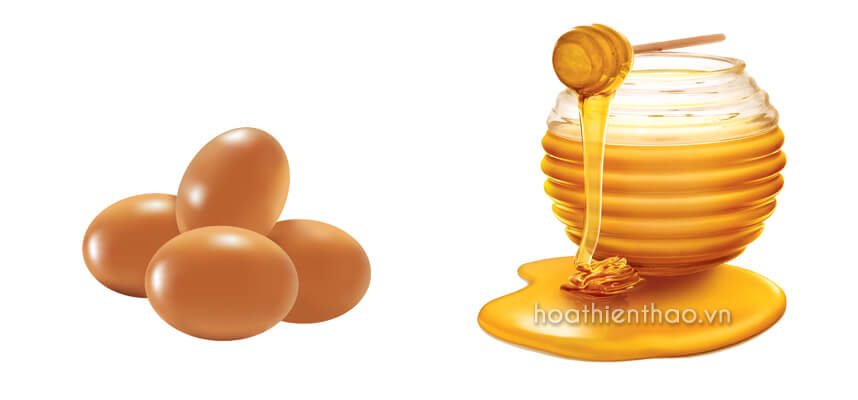 Cách làm mặt nạ trứng gà, mật ong