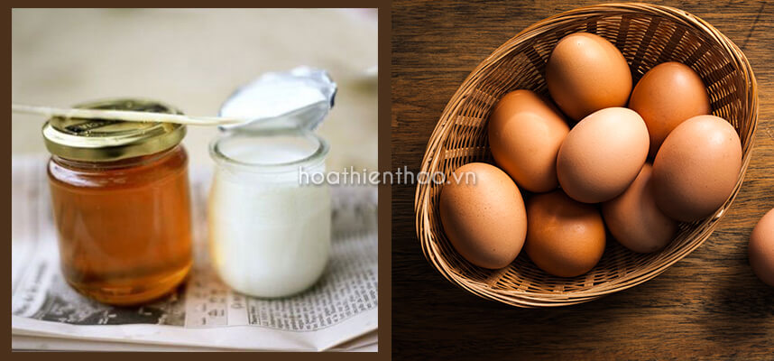 Cách làm mặt nạ trứng gà, mật ong