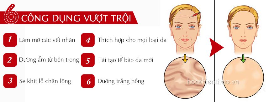 Có nên dùng viên serum dưỡng trắng da lựu đỏ Koee không?