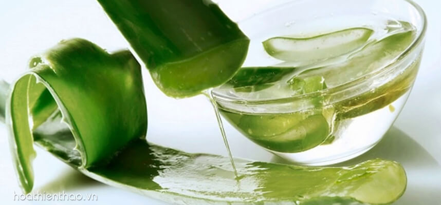 Phương pháp trị nám hiệu quả từ thiên nhiên vô cùng an toàn