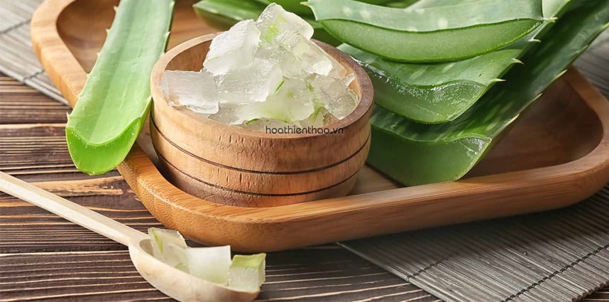 3 cách làm trắng da bằng nha đam an toàn