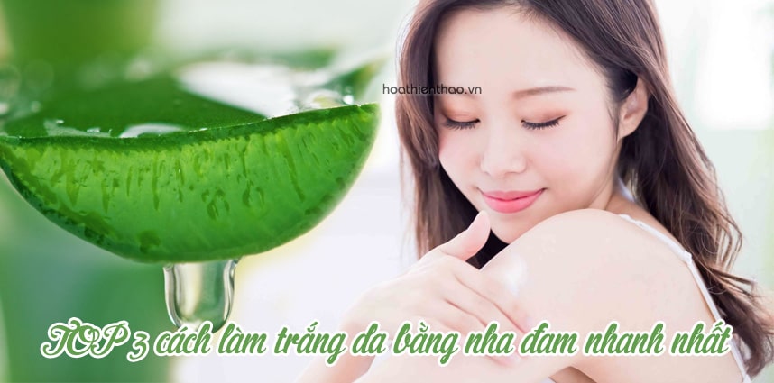TOP 3 cách làm trắng da bằng nha đam nhanh nhất