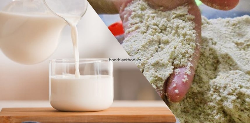 Cám gạo và sữa tươi không đường dưỡng trắng da tại nhà