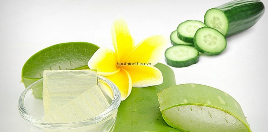 Làm trắng da mặt tại nhà bằng nha đam