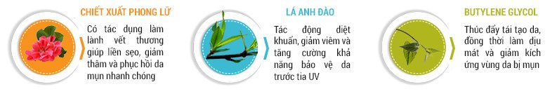 Thành phần thiên nhiên trong kem trị mụn Sakura
