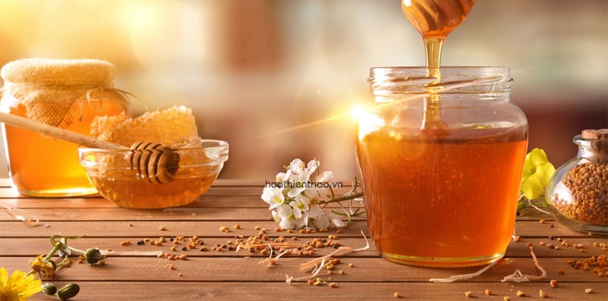 Trị thâm mụn ở mặt tại nhà sử dụng mật ong