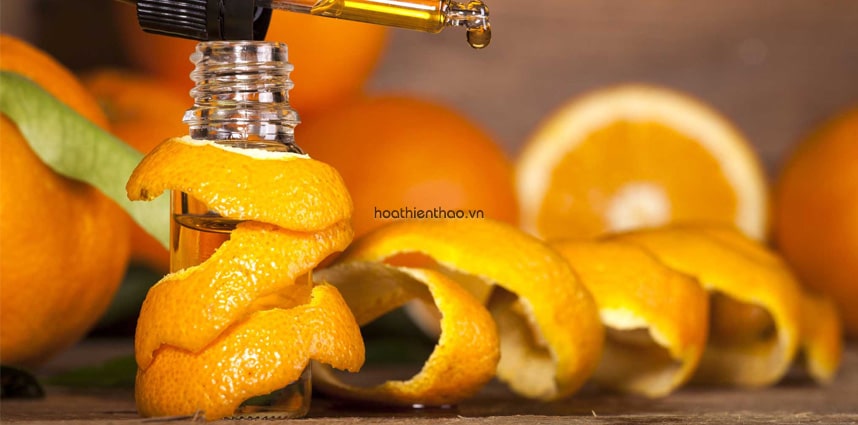 Vitamin C hỗ trợ làm mờ thâm, cải thiện sẹo mụn