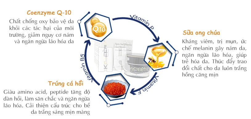 Kem trắng da ngừa nám ban đêm Koee Pro - Hoa Thiên Thảo