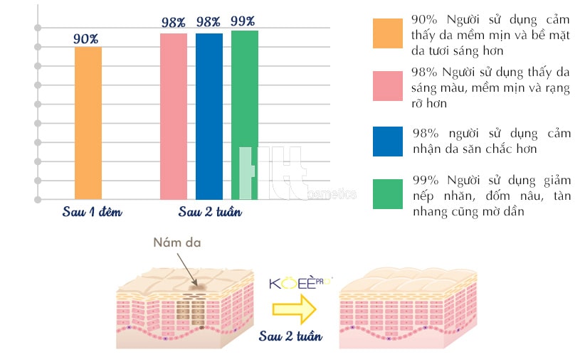 Kem trắng da ngừa nám ban đêm Koee Pro - Hoa Thiên Thảo