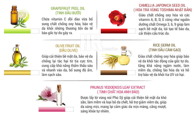Dầu tẩy trang Sakura Cleansing Oil - Hoa Thiên Thảo