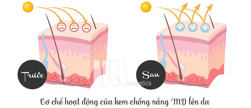 Kem chống nắng vật lý MD Ultimate - Hoa Thiên Thảo