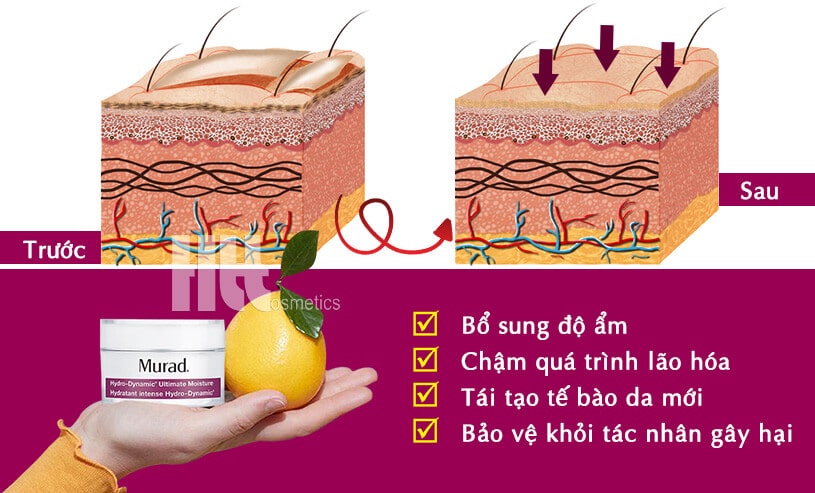 Kem dưỡng ẩm Murad Hydro Dynamic Ultimate Moisture - Hoa Thiên Thảo