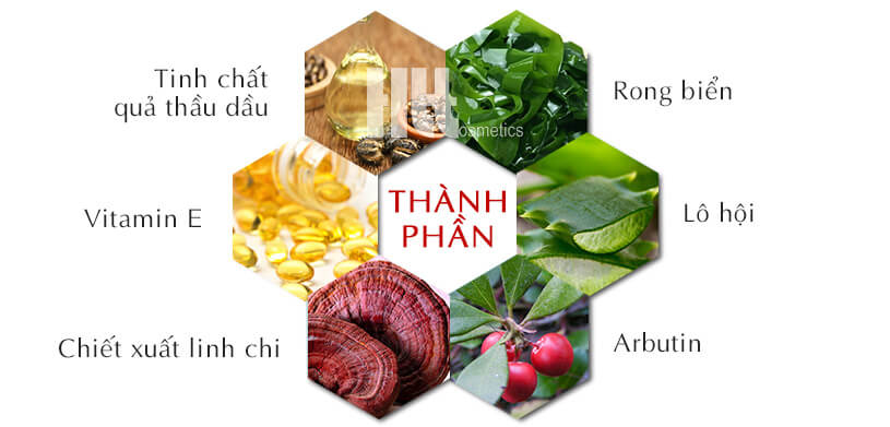 Kem dưỡng da ban đêm Kireina - Hoa Thien Thao Cosmetics