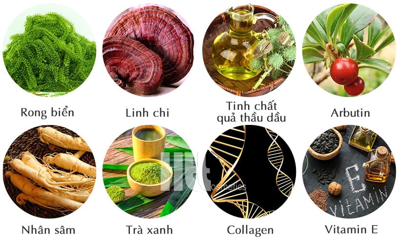 Kem dưỡng da ban ngày Kireina - Hoa Thien Thao Cosmetics