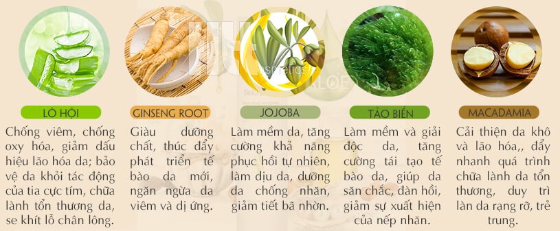 Kem dưỡng trắng da vùng nhạy cảm bella belle Sensitive Areas Repair - Hoa Thiên Thảo
