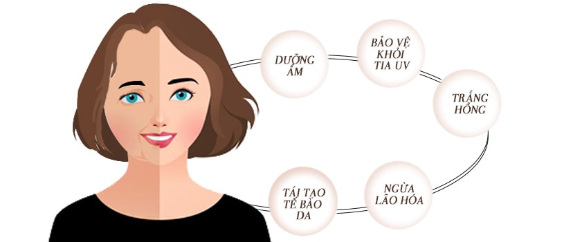 Kem phục hồi da chống lão hóa ban ngày Sakura Restorative