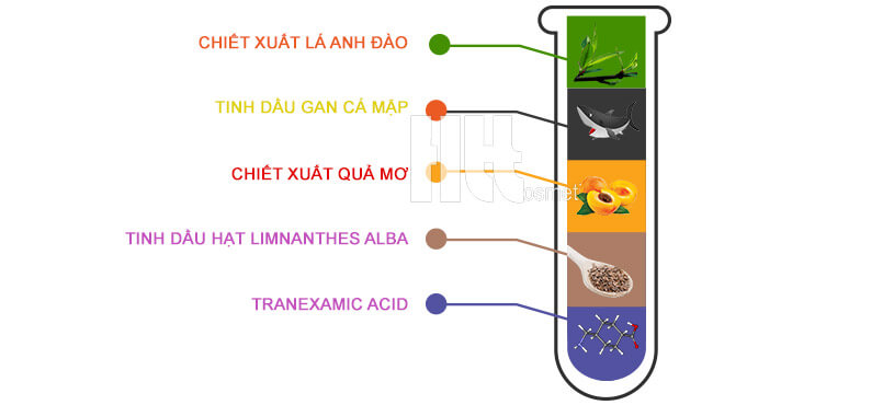 Kem trị nám trắng da Sakura ban đêm Whitening Night Cream - Hoa Thiên Thảo