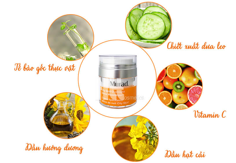 Mặt nạ ngủ thải độc da dạng kem Murad City Skin Overnight Detox Moisturizer - Hoa Thiên Thảo