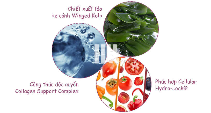 Tinh chất collagen trẻ hóa da Murad Rapid Collagen Infusion - Hoa Thiên Thảo