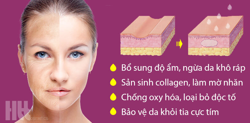 Tinh chất collagen trẻ hóa da Murad Rapid Collagen Infusion - Hoa Thiên Thảo