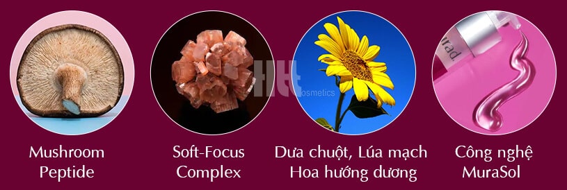 Tinh chất xóa nếp nhăn Murad Invisiblur Perfecting Shield Broad Spectrum SPF 30 PA - Hoa Thiên Thảo